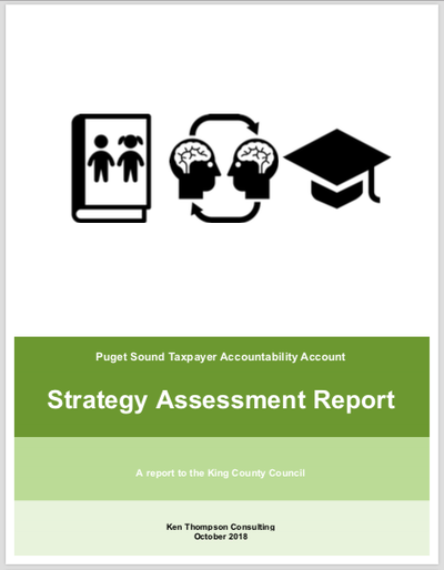Strategy Assessment Report link